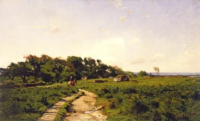 Zbieraczka wodorostów, 1882